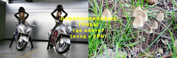 стаф Волоколамск