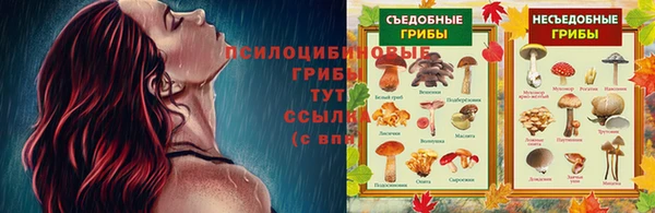 тгк Волосово
