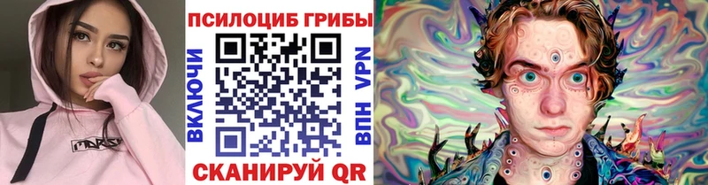 купить наркотики сайты  Сургут  МЕГА ссылка  Галлюциногенные грибы мицелий 